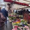 I saw this flower stall at the day market on my way to the Picasso Museum, where my art class was meeting that day. These day markets happen in different locations in Paris every day!