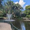The Brisbane City Botanic Gardens were quiet and beutiful, containing many different plants, birds and water features.