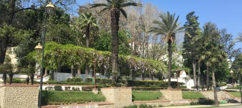 Tetouan spring in bloom!