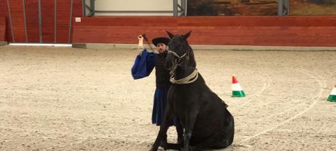 A picture of one of the horses during the horse show!