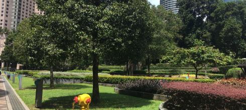 A park in the city (KL)