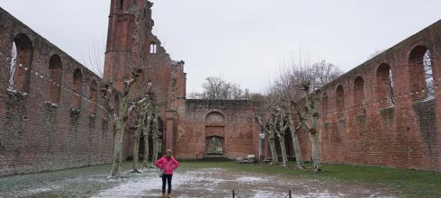 The ruins of the abbey 