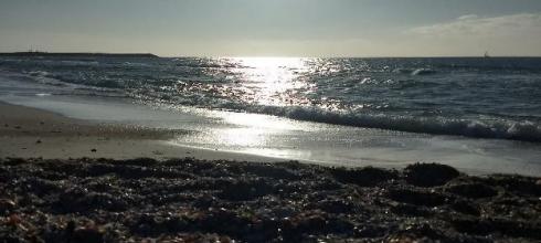 A day at a beach in Tel Aviv