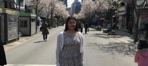 The cherry blossoms in Sinchon have bloomed!