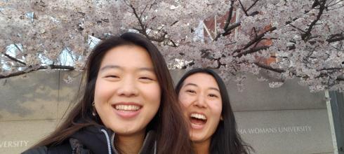Enjoying cherry blossom season here in Seoul!