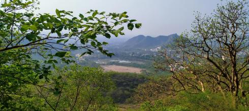 A new shade of green thanks to the rain showers