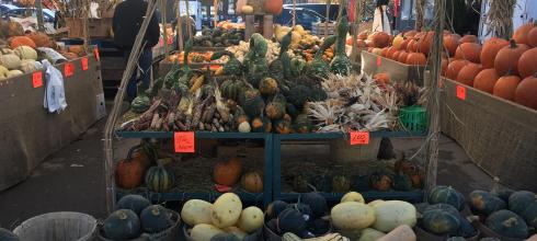 It's squash season at Marche Jean Talon!