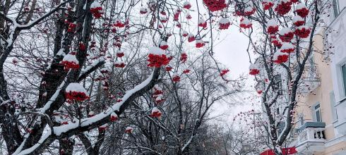 Walking around is really beautiful after it snows! This was my walk home last week!