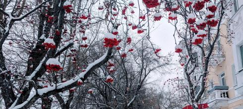 Walking around is really beautiful after it snows! This was my walk home last week!