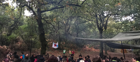 Ourense's fall Chestnut Festival (O Magosto).