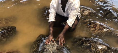 Me at the Turtle Island Sanctuary