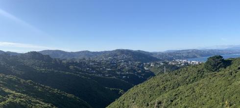 View from the top of Polhill Reserve