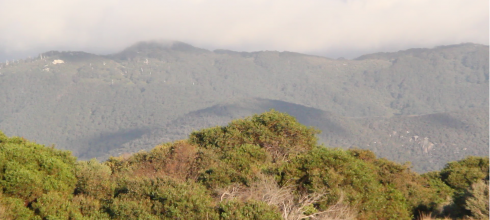 This is the study area where we capture kangaroos