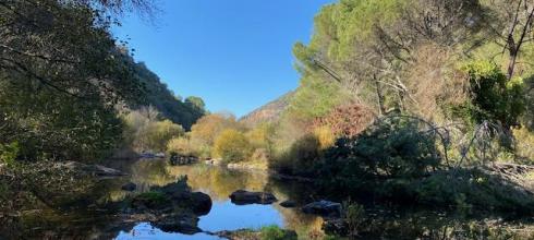 A creek on our hike / Un arroyo en nuestra camino 