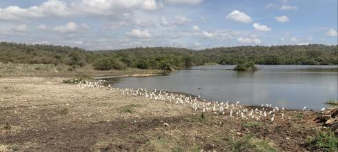 Beautiful views from the Nairobi National Park