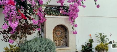 I found this flowering tree at our Peace Corps Offices in Rabat, the capital