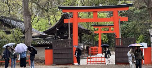 Wandering through ancient torii gates under a soft Kyoto rain
