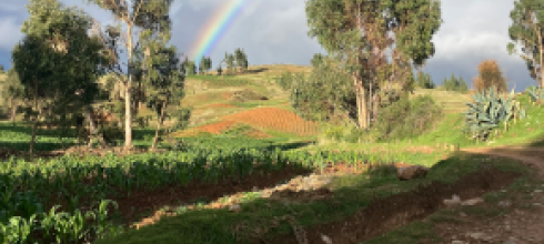 rainbow over the hills 