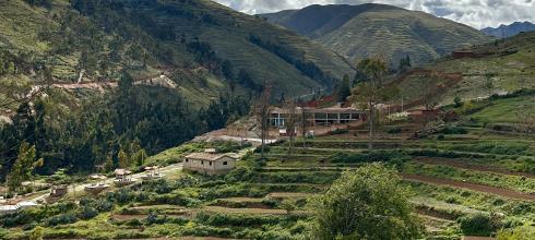 What used to be the natural habitat for llamas is now largely farm fields.