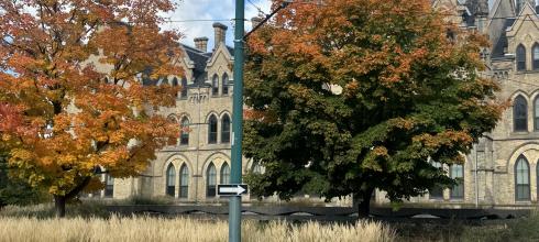 Fall foliage in on University of Toronto campus 