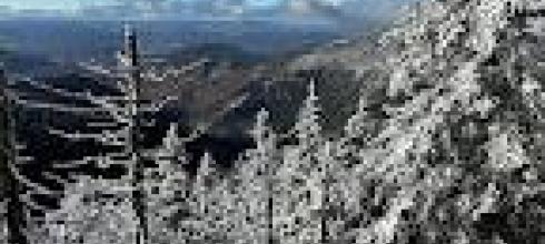 Just one great view from my hike.