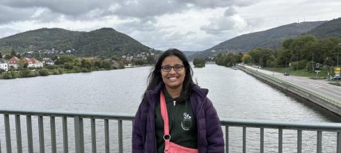 On top of the Ernst-Walz-Brücke (Bridge) Across Neckar River 