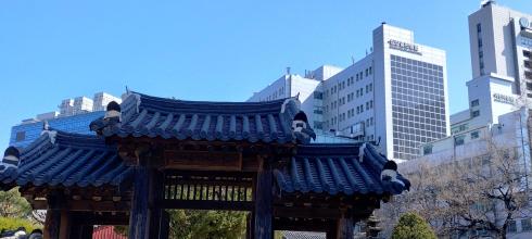 This is the gate to a temple at Yonsei University; I think it's cool how they still have buildings like this mixed in with the modern city skyscrapers, like you see in the background.