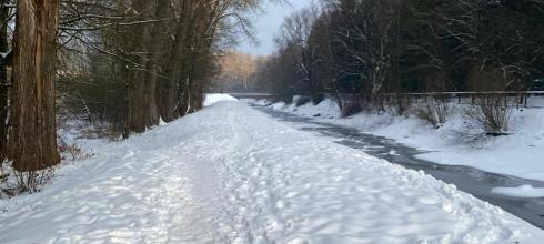 This is my view on the way to school