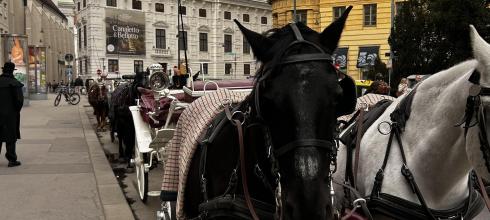 Horse carriage rides are common in Vienna. Here I captured a line if them waiting to be taken on a ride.