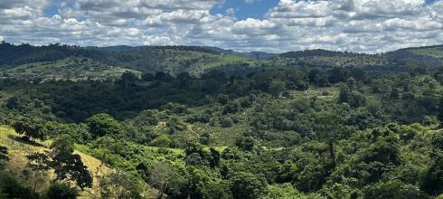 Beautiful Mountains in Amargosa