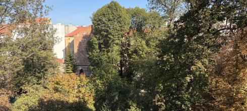 A view from out my apartment window!