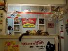 A cat cafe in Seoul