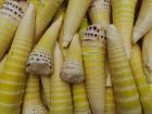 Bamboo shoots (Photo from Pixabay)