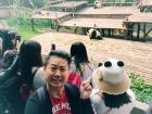 Panda spotted?