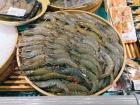 Fresh shrimp at the market