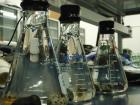 My research experiments