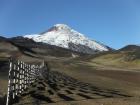 Volcanoes form near plate boundaries