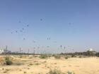 Long stretches of sand along the river 