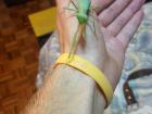 My friend named Jonny