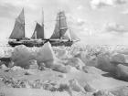 Sir Ernest Shackleton's ship in its full glory
