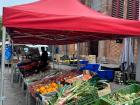 Fresh produce for sale at a French farmer's market