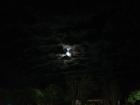 A bit of moon watching is also a must when one goes camping!