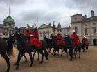 The cavalry in their plumed hats