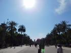 Sun in Ciutadella Park