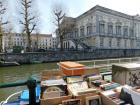 I saw these trees across a canal as I was browsing at a book sale