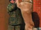 A normal-sized Tajik sheepdog. Gulp. 