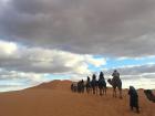Riding camels in the desert 