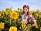 Ukrainians are very proud of the beautiful sunflower fields