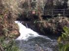 Another waterfall that was close to the burundanga plant