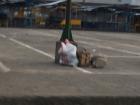 This is just a pile near a school, not a trash can. 